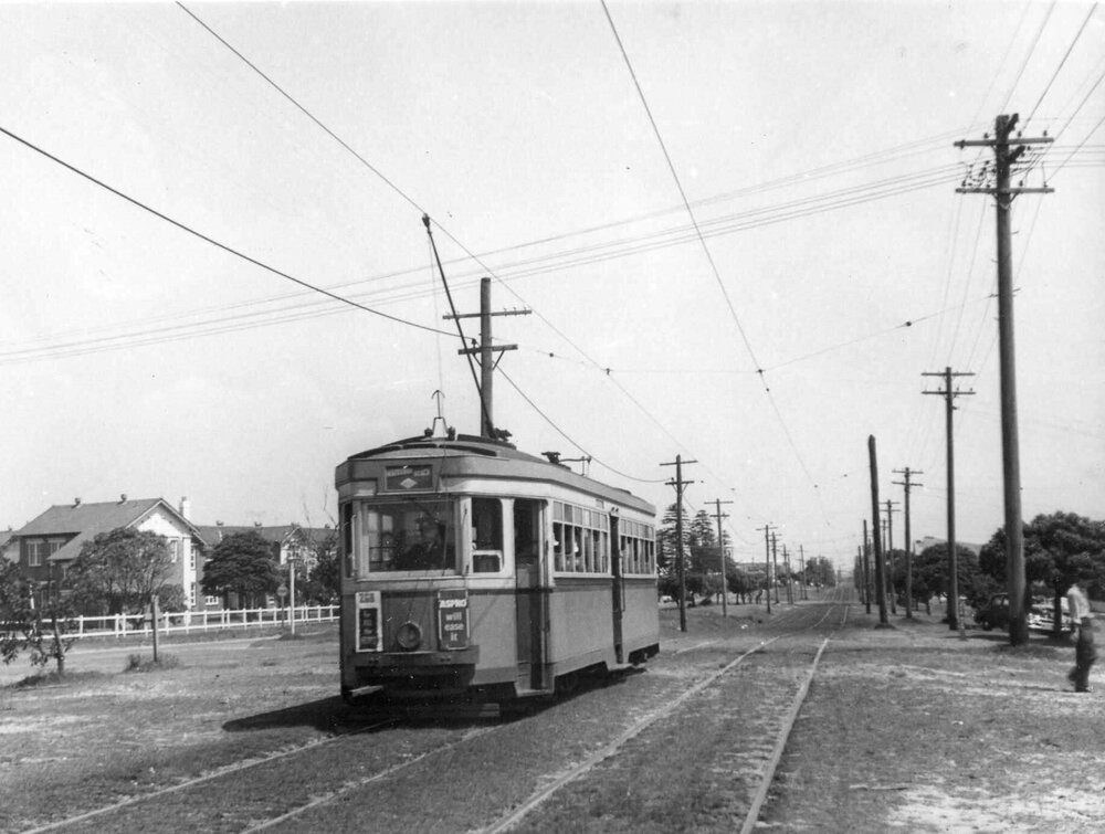 Tram at Maroubra past Moverly Road