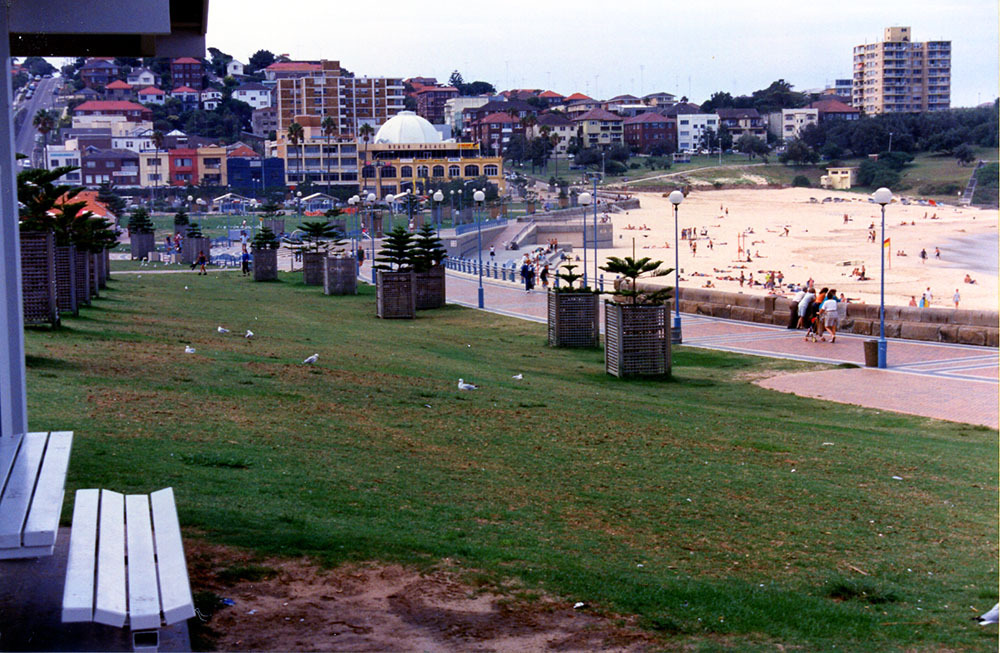 Looking north on Goldstein Reserve