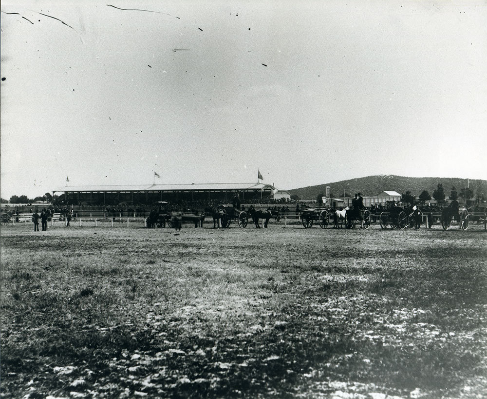Carriages at Randwick Racecourse (Photo 3)