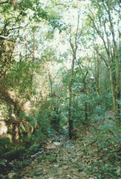 Fred Hollows Reserve