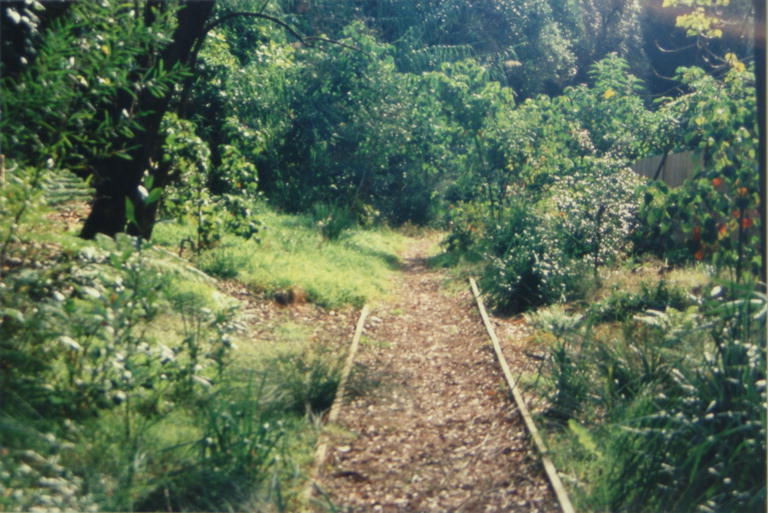 Path through the bush of Fred Hollows Reserve