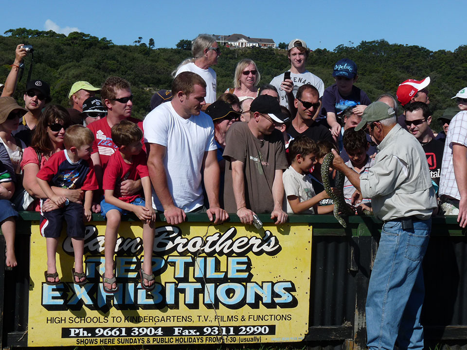 John Cann's final snake show (photo 26)