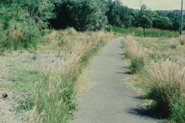 Arthur Byrne Reserve