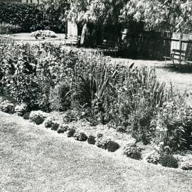 Randwick Tramway Workshop gardens (phot 1)