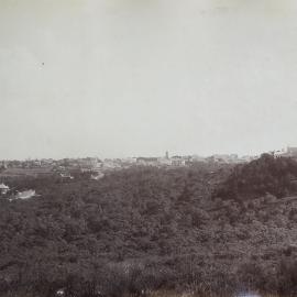 Looking west over Glebe Gully