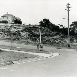 Corner of Farnham Avenue and Alison Road (photo 4)