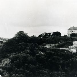Glebe Gully between St Marks Road and Alison Road