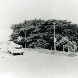 Corner of Dutruc Street and Rae Street
