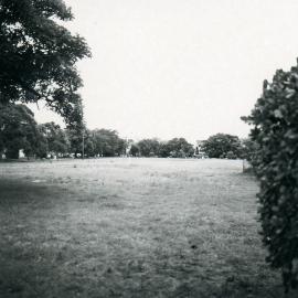 Photo of Alison Park