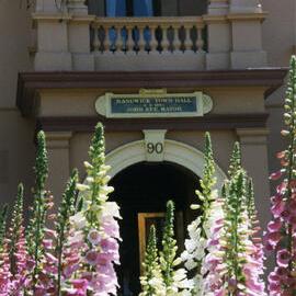 Photo of Randwick Town Hall (photo 2)