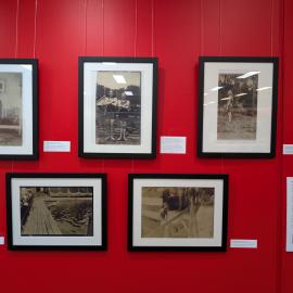 Mina Wylie: A Life in Water' Display