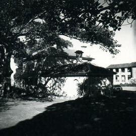 Ventnor House, Randwick