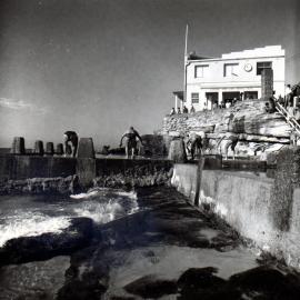 Coogee Surf Life Saving Club and Ross Jones Memorial Pool.