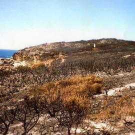 Malabar headland after a bushfire
