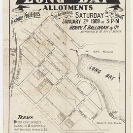 Long Bay Allotments