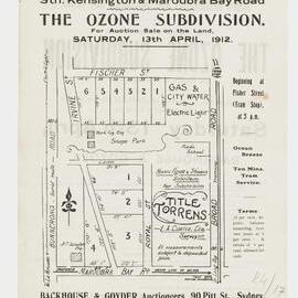 The Ozone Subdivision Plan and Flyer