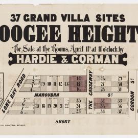Coogee Heights