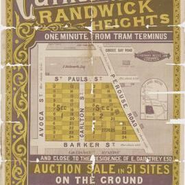 Carlton Estate, Randwick Heights
