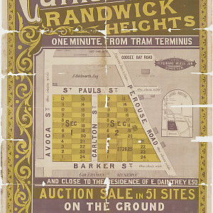 Randwick 2031