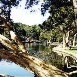Duck pond in Centennial Park