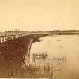 Botany water works c.1890s. Photos of the engine pond.