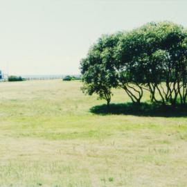 Arthur Byrne Reserve