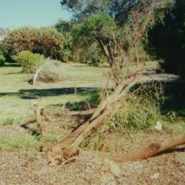 Arthur Byrne Reserve