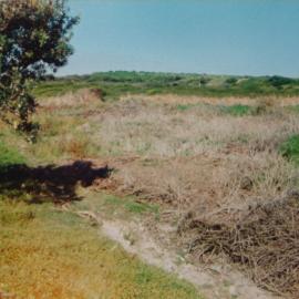 Magic Point volunteers area