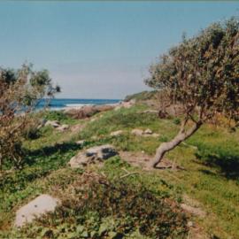 Magic Point volunteers area