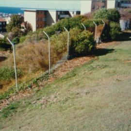 Planting along fence of Popplewell Park