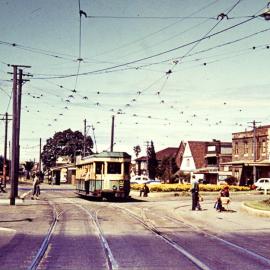 Tram on Anzac Parade