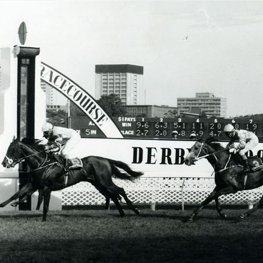 Horse Racing