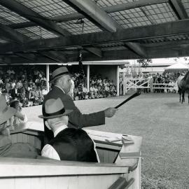 Horse sales at Newmarket Stables