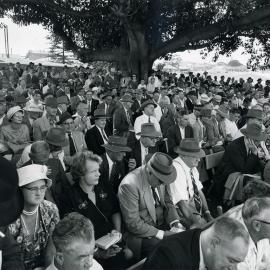 Crowds at Newmarket Horse Sale