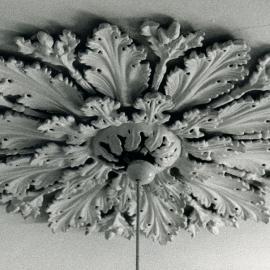3 Short Street, Randwick: decorative ceiling light