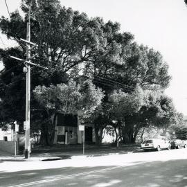 Corner of Short Street and Avoca Street, Randwick
