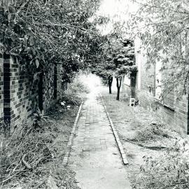 176 Avoca Street, Randwick: outside footpath and yard (Photo 8/11)