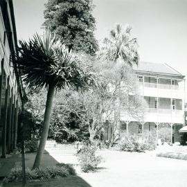 Garden and courtyard of the Blacket Building, part of the Prince of Wales Hospital