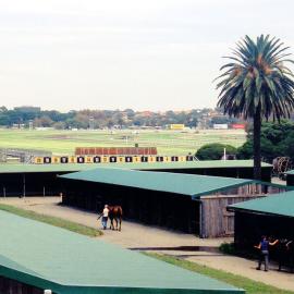 View of Randwick Racecourse from Alison Road