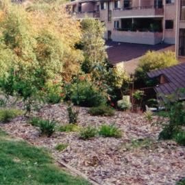 Plant bed in Fred Hollows Reserve