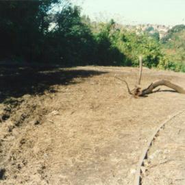 Landscape project in Fred Hollows Reserve near Bligh Place