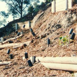 Embankment in Fred Hollows Reserve