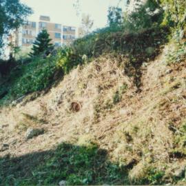 Clearning an embankment in Fred Hollows Reserve
