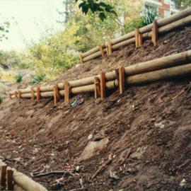 Walls on a landscape project in Fred Hollows Reserve
