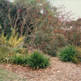 Plants in a garden bed near Bligh Place