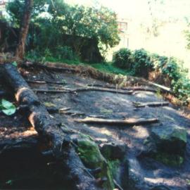 Embankment in Fred Hollows Reserve