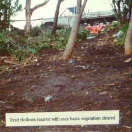 Basic vegetation cleared in Fred Hollows Reserve