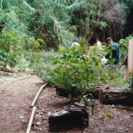 Building a walkway  in Fred Hollows Reserve