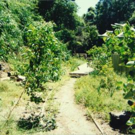 Walkway in Fred Hollows Reserve under construction
