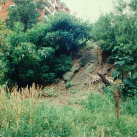 Embankment in Fred Hollows Reserve, near Bligh Place